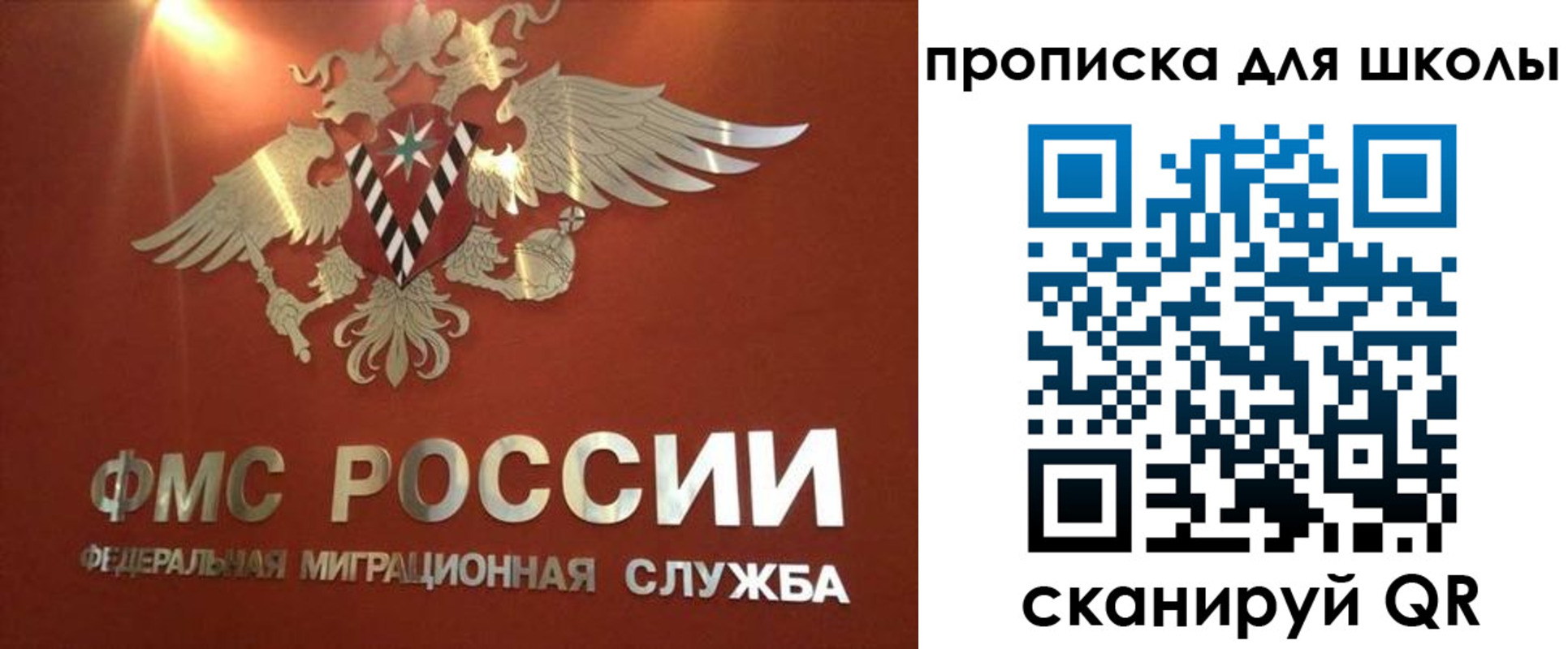 прописка от собственника в Тереке